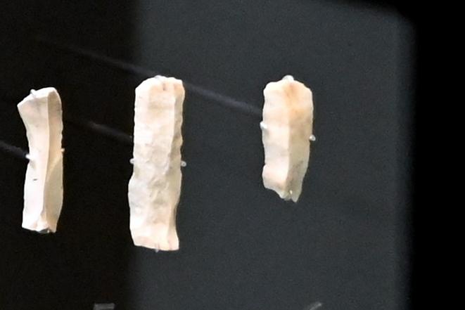 Zwei ursprünglich in Erntesicheln eingesetzten Klingen mit Sichelglanz, Neolithikum (Jungsteinzeit), 5500 - 1700 v. Chr., 5200 v. Chr., Bild 1/3