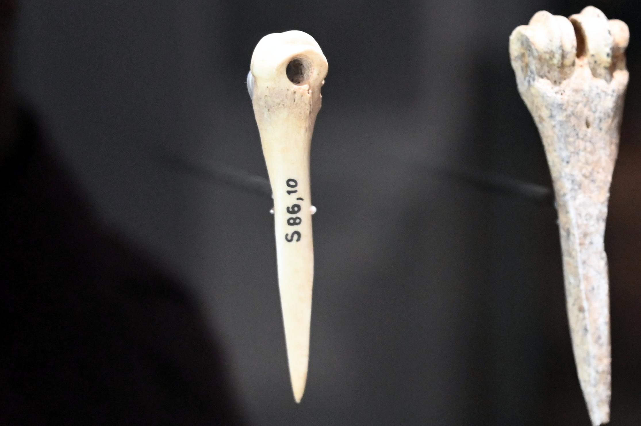 Pfriem mit durchlochtem Gelenkkopf, Neolithikum (Jungsteinzeit), 5500 - 1700 v. Chr., 5500 - 5100 v. Chr.