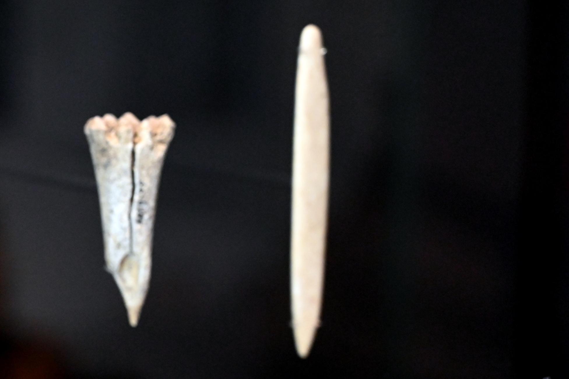 Spatel, Neolithikum (Jungsteinzeit), 5500 - 1700 v. Chr., 5500 - 5100 v. Chr., Bild 1/3