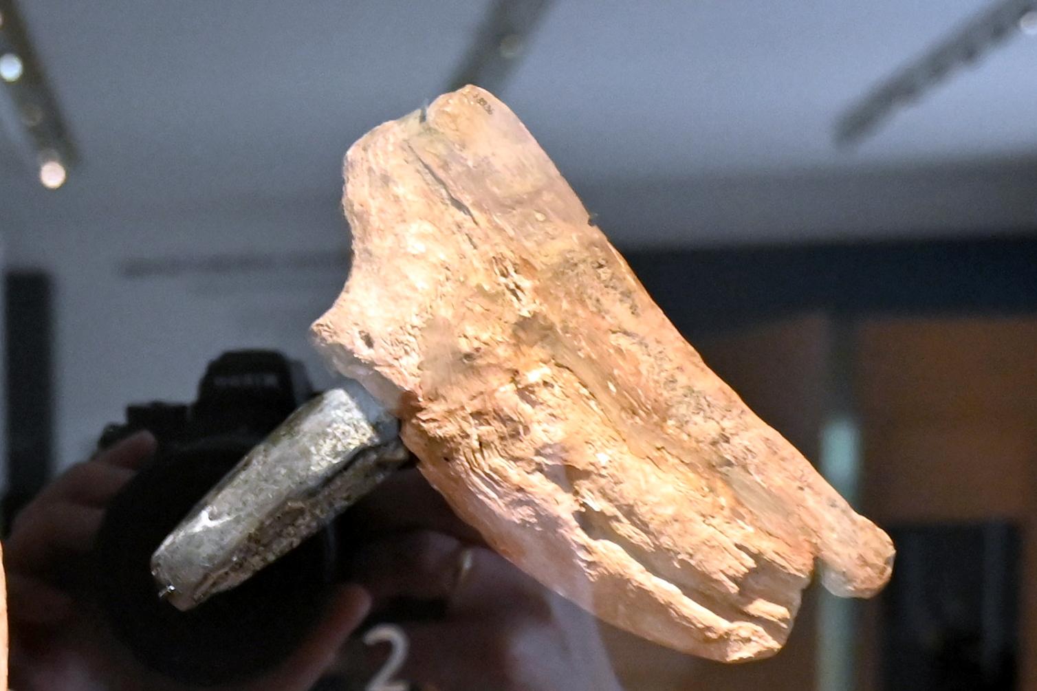 Steinbeil mit Flügelhorn, 3900 v. Chr., Bild 1/3