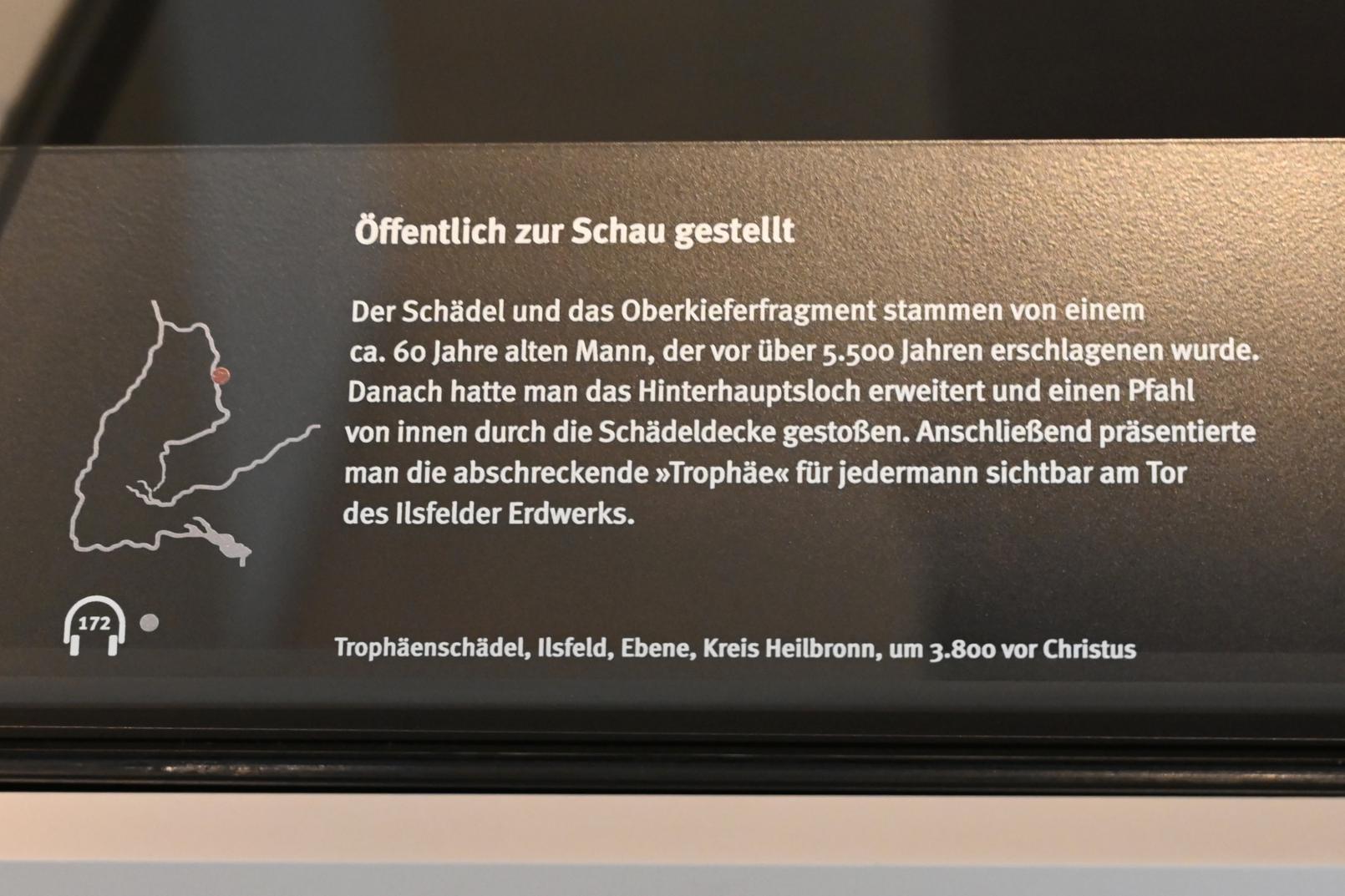 Trophäenschädel, Neolithikum (Jungsteinzeit), 5500 - 1700 v. Chr., 3800 v. Chr., Bild 2/2