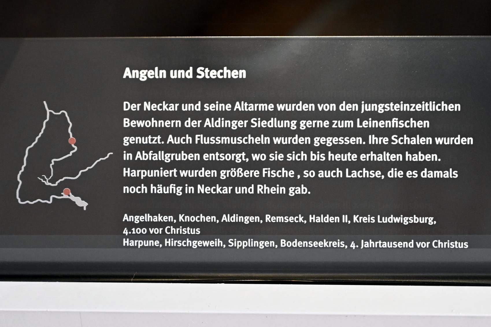 Harpune, Neolithikum (Jungsteinzeit), 5500 - 1700 v. Chr., 4000 - 3000 v. Chr., Bild 2/2