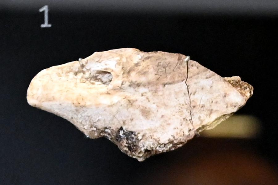 Meißel, Neolithikum (Jungsteinzeit), 5500 - 1700 v. Chr., 3800 - 3600 v. Chr., Bild 1/3