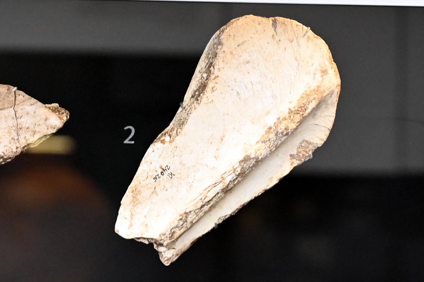 Schaber, Neolithikum (Jungsteinzeit), 5500 - 1700 v. Chr., 3800 - 3600 v. Chr.