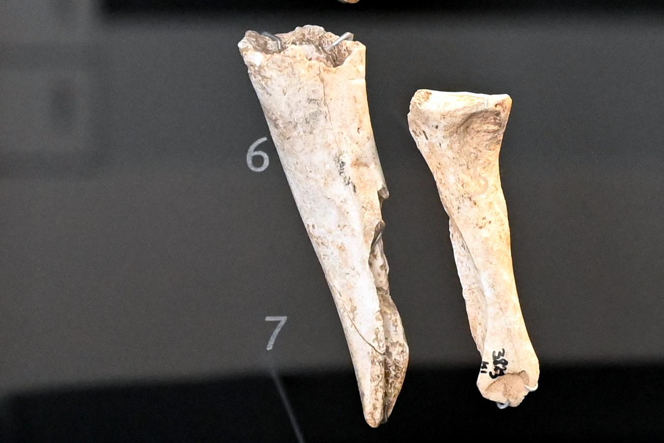 Röhrenmeißel, Neolithikum (Jungsteinzeit), 5500 - 1700 v. Chr., 3800 - 3600 v. Chr., Bild 1/3