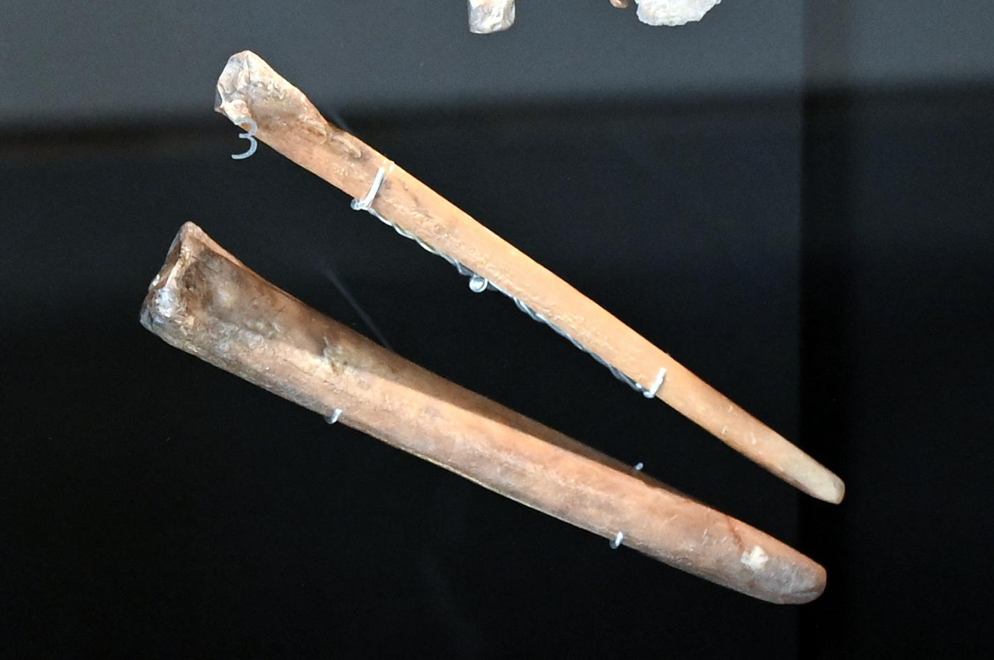 Zwei Meißel, Neolithikum (Jungsteinzeit), 5500 - 1700 v. Chr., 3900 v. Chr., Bild 1/2